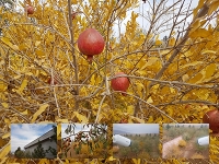 سیستم نظارت تصویری برایتون در مجتمع ویلایی دشت سبز مهیار شهر اصفهان